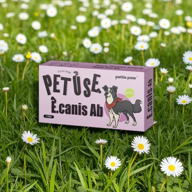 Dog Ehrlichia (Tick-Bourne Disease) Antibody RapidTest - Blood Test - Results at Home without Vets