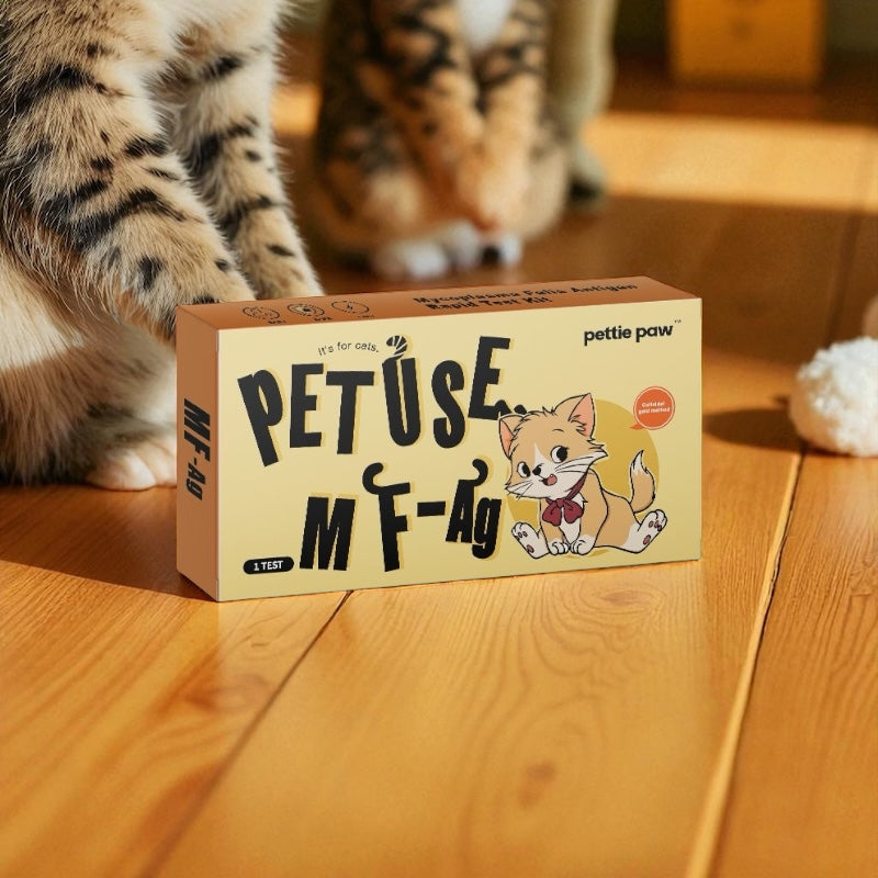 Cat Mycoplasma Felis Antigen RapidTest (Early Detection - At-Home Blood Test)