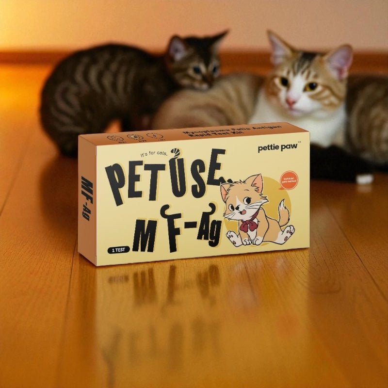 Cat Mycoplasma Felis Antigen RapidTest (Early Detection - At-Home Blood Test)