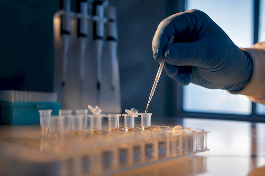 Serology technician preparing an antibody assay