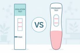 At Home Fertility Rapid Test (UK, US & EU)