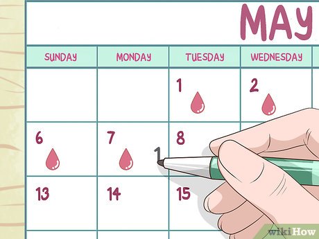 A 30-Day Fertility Plan for Couples (Daily Checklist using SP-10, LH & HCG)