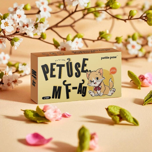 Cat Mycoplasma Felis Antigen RapidTest (Early Detection - At-Home Blood Test)